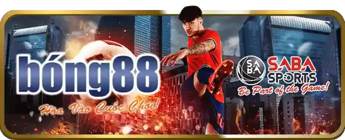Phát sóng trực tiếp các trận đấu thể thao